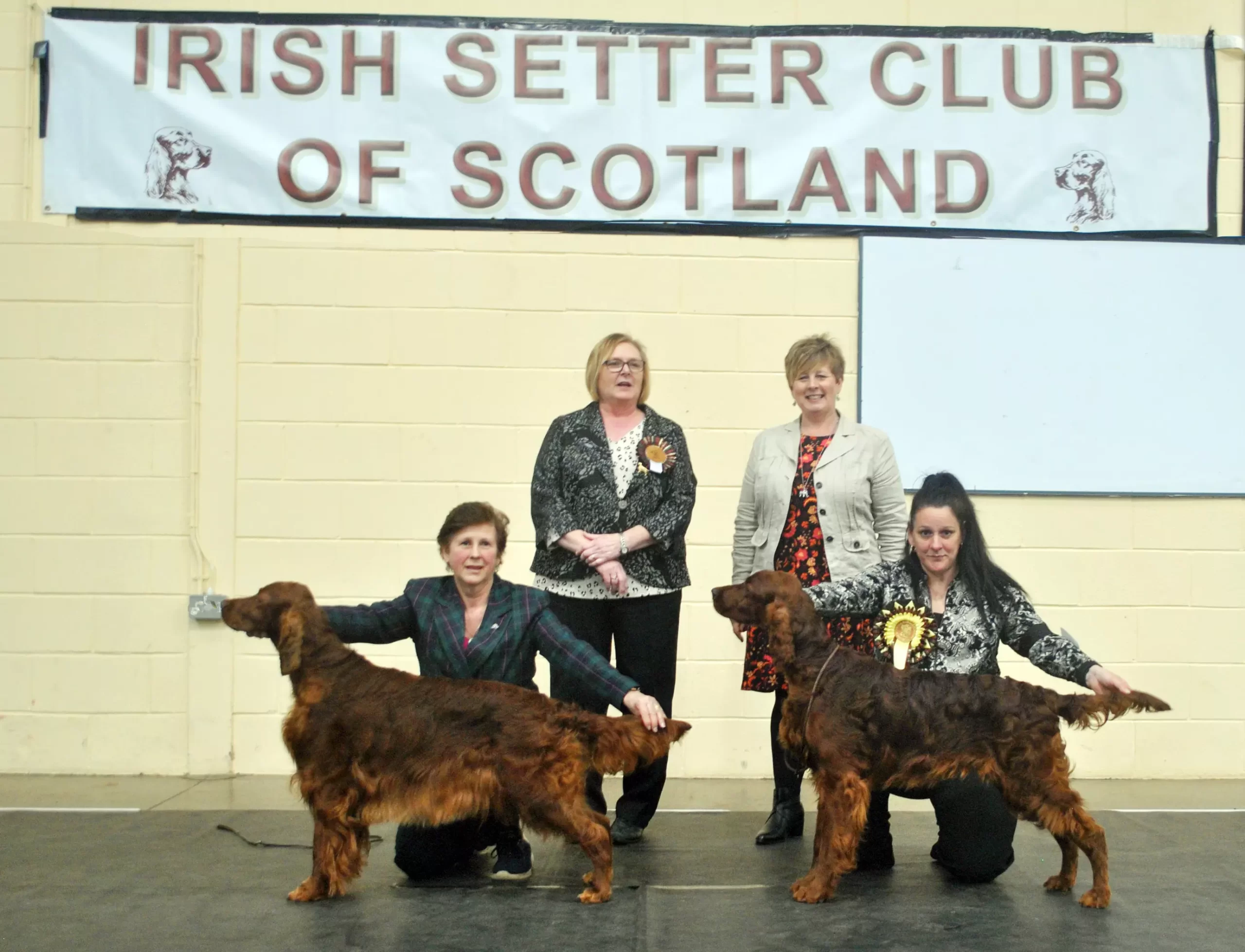 2022 Champ Show Best Veteran In Show Stevenson’s Lochlorien True Detective is Andley - Best Puppy Dog Danks-Kemish’s Coppers Welcome to the Party at Alofrana