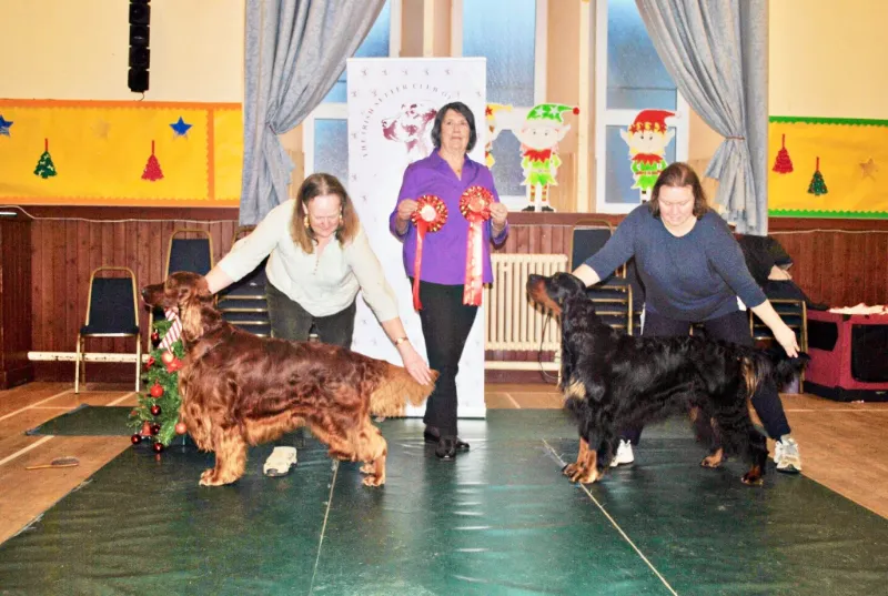 Festive Setter Match