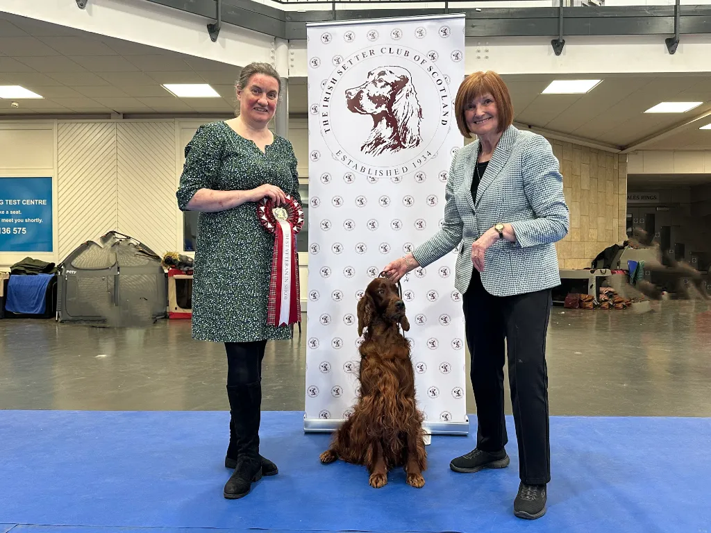 BIS BVIS Sh Ch Int Sh Ch Fairhaven Electra swed imp