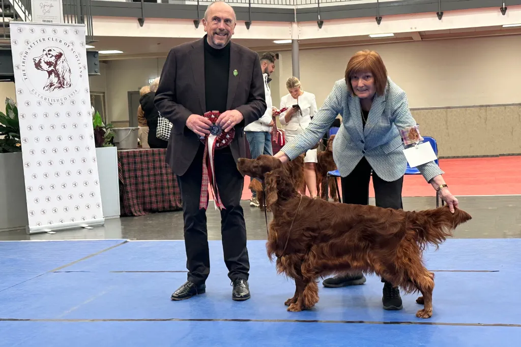 BIS BVIS. Sh Ch Int Sh Ch Fairhaven Electra swed imp